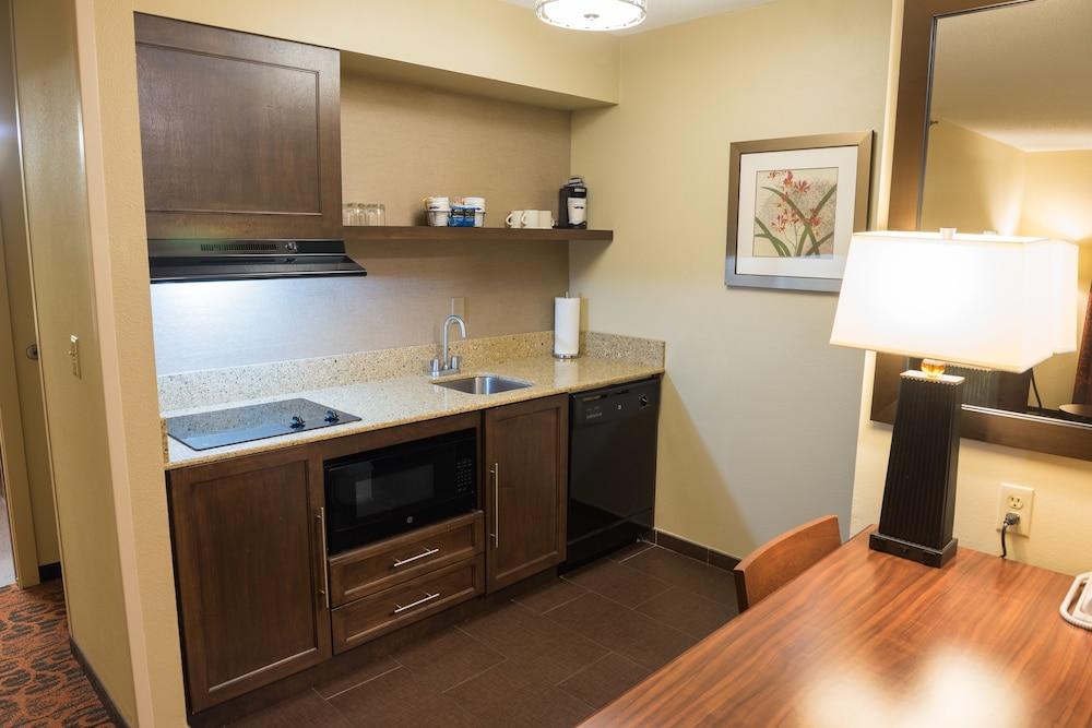 Hampton Inn & Suites Tampa-North Buitenkant foto