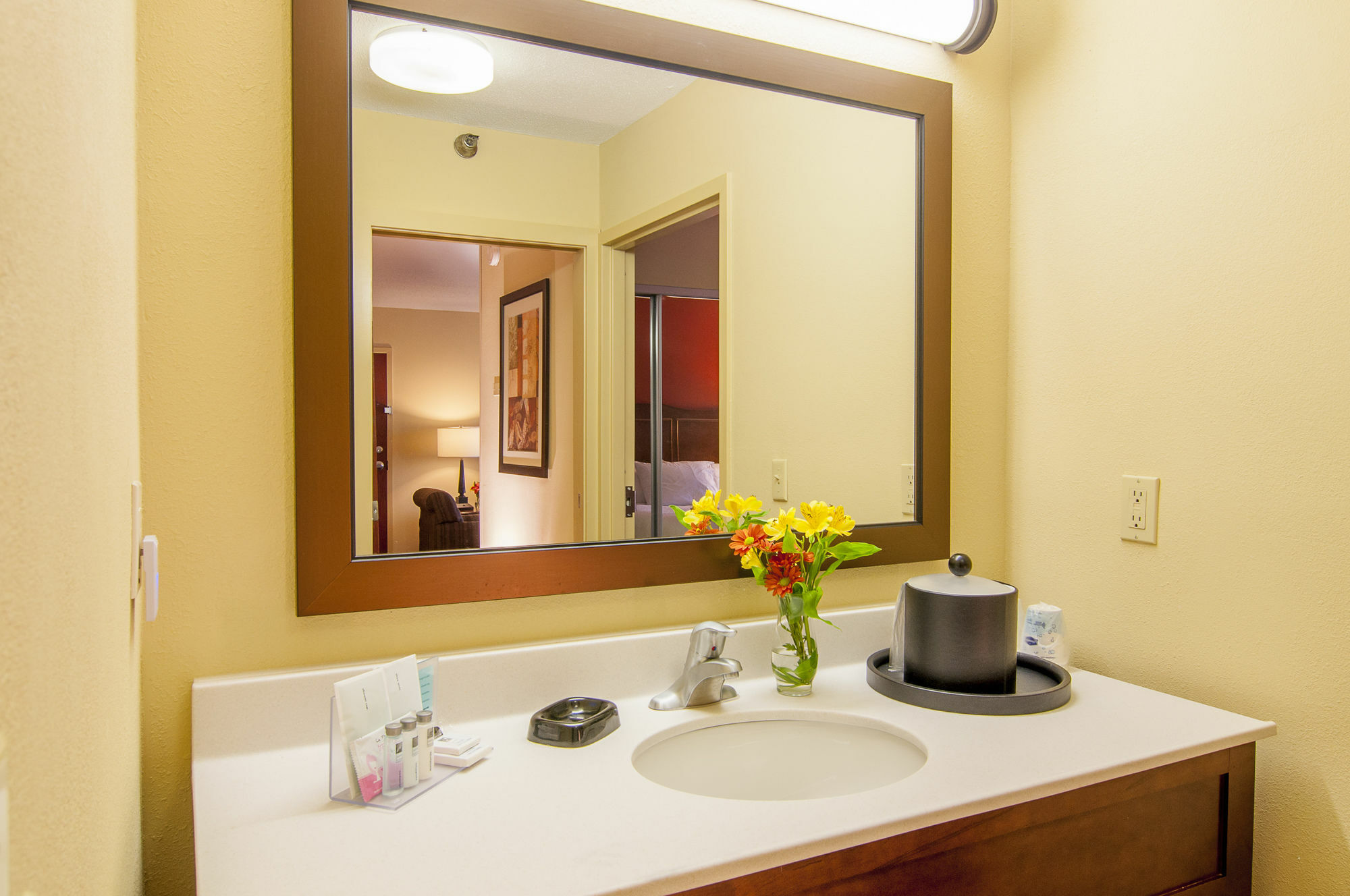 Hampton Inn & Suites Tampa-North Buitenkant foto